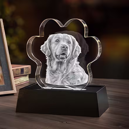 3D Pet Paw Crystal featuring a laser-engraved Golden Retriever portrait, displayed on a black LED light base beside the original photo.