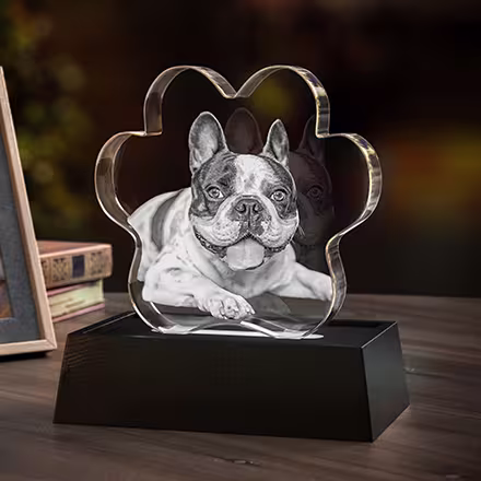 2D Pet Paw Crystal engraved with a French Bulldog, displayed on a black LED light base.